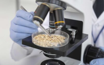 Товароведческая экспертиза