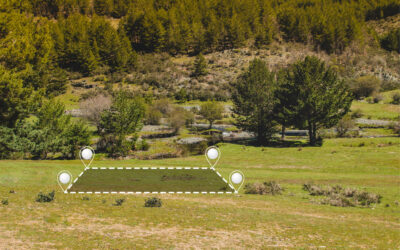 Землеустроительная экспертиза